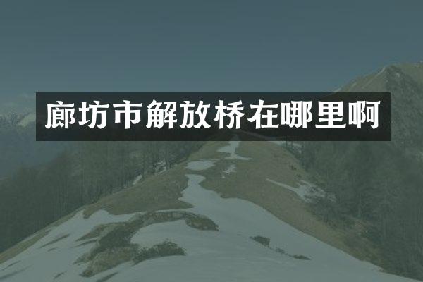 廊坊市解放桥在哪里啊
