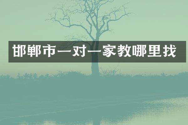 邯郸市一对一家教哪里找