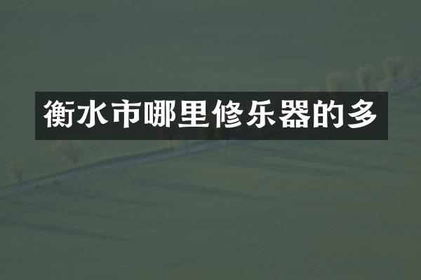 衡水市哪里修乐器的多