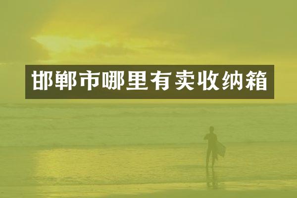 邯郸市哪里有卖收纳箱