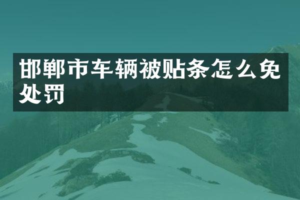 邯郸市车辆被贴条怎么免处罚