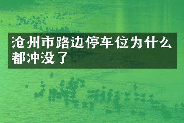 沧州市路边停车位为什么都冲没了