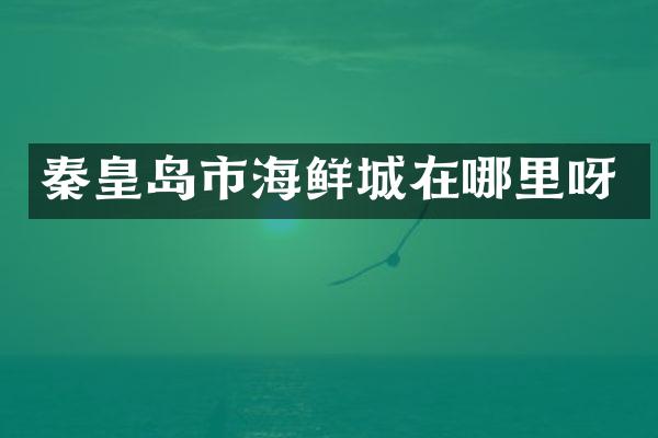 秦皇岛市海鲜城在哪里呀