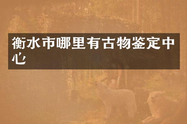 衡水市哪里有古物鉴定中心