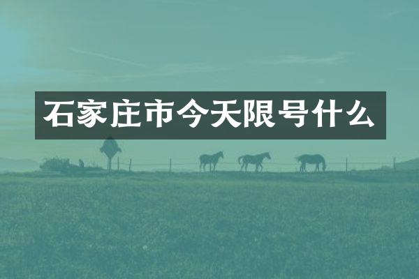 石家庄市今天限号什么