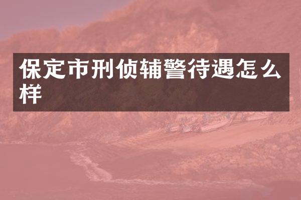 保定市刑侦辅警待遇怎么样