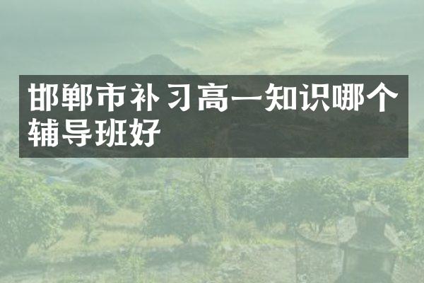 邯郸市补习高一知识哪个辅导班好