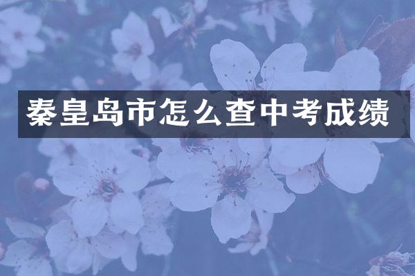 秦皇岛市怎么查中考成绩