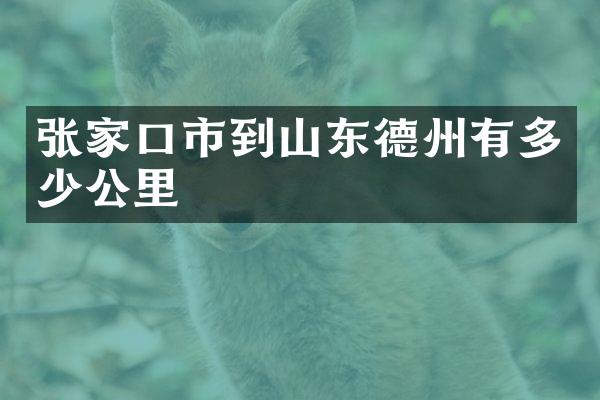 张家口市到山东德州有多少公里