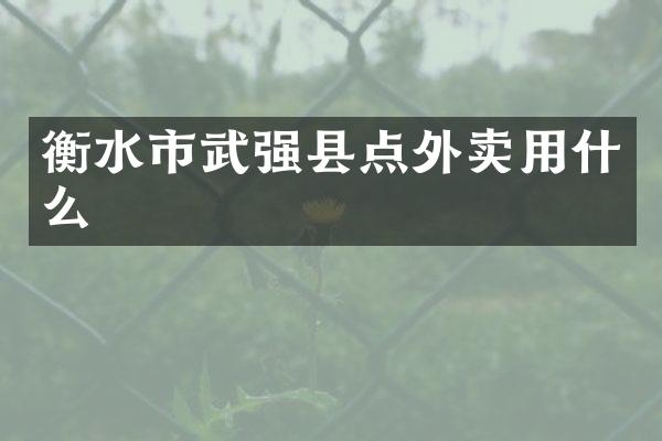 衡水市武强县点外卖用什么