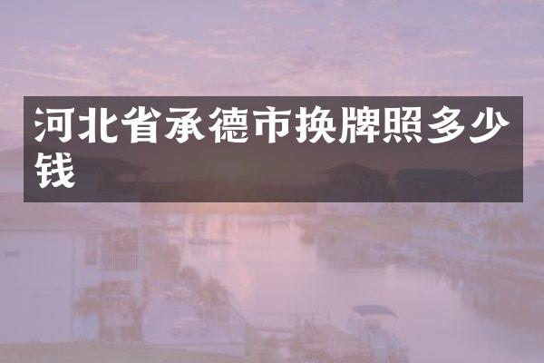 河北省承德市换牌照多少钱