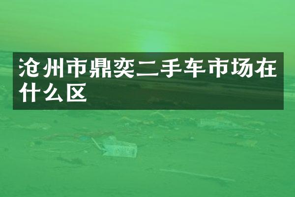 沧州市鼎奕二手车市场在什么区