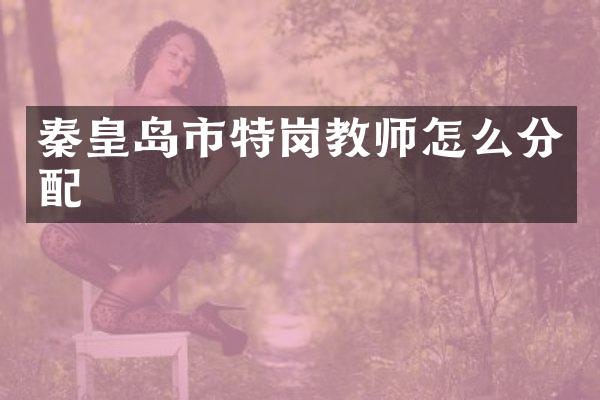 秦皇岛市特岗教师怎么分配
