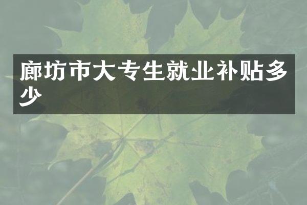 廊坊市大专生就业补贴多少
