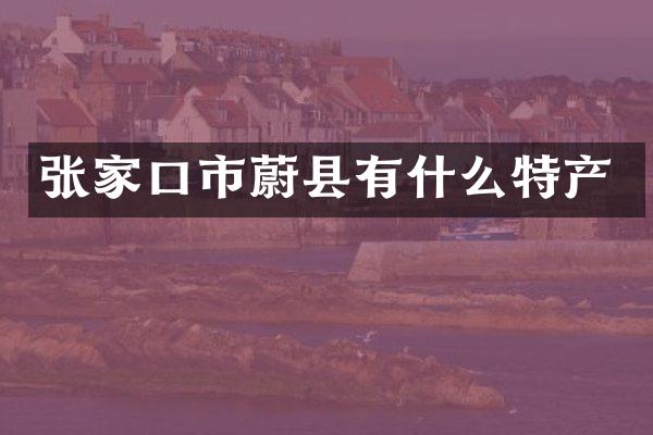 张家口市蔚县有什么特产