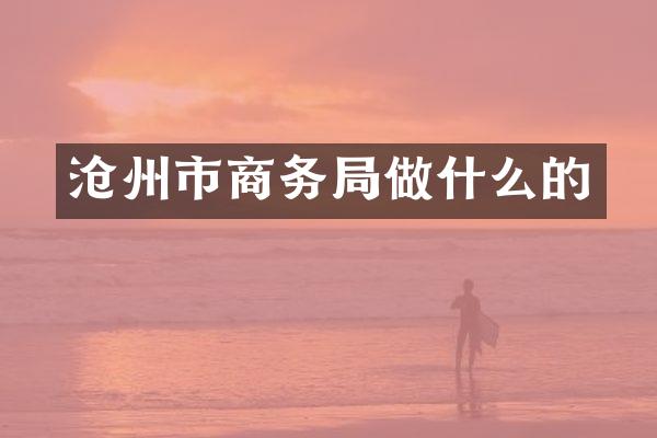 沧州市商务局做什么的