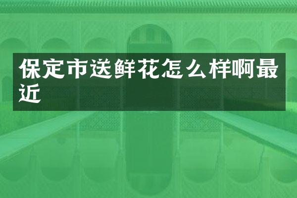 保定市送鲜花怎么样啊最近