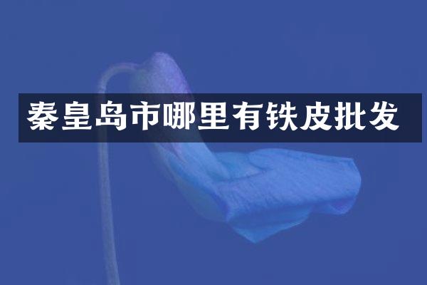 秦皇岛市哪里有铁皮批发