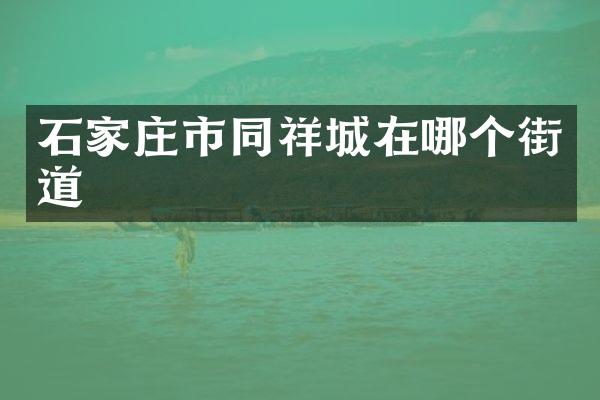 石家庄市同祥城在哪个街道