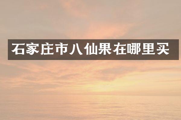石家庄市八仙果在哪里买