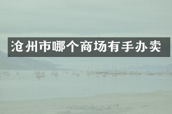 沧州市哪个商场有手办卖