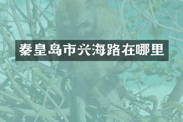 秦皇岛市兴海路在哪里