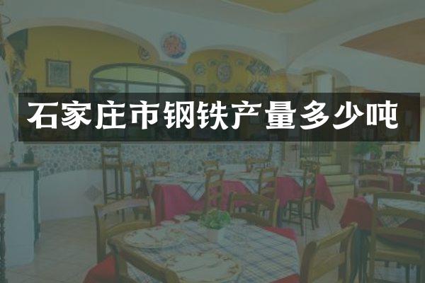 石家庄市钢铁产量多少吨