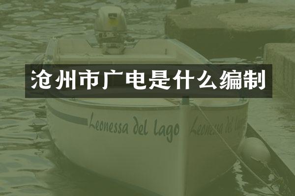 沧州市广电是什么编制