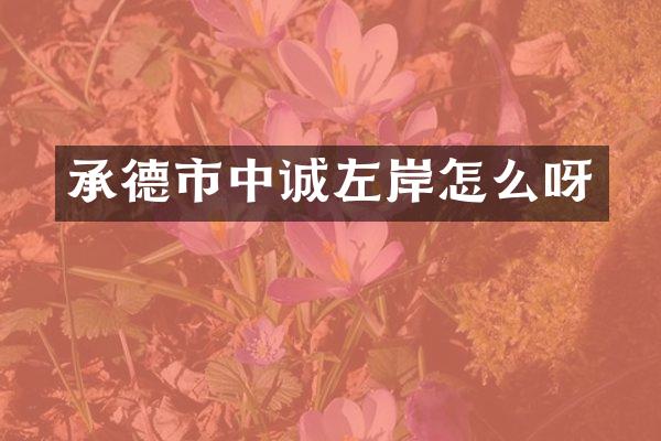 承德市中诚左岸怎么呀