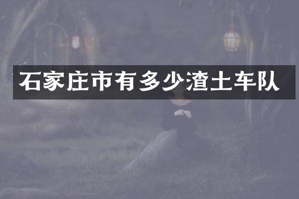 石家庄市有多少渣土车队