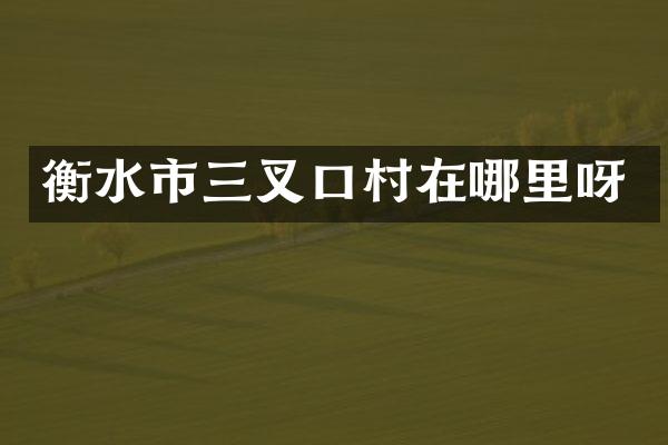 衡水市三叉口村在哪里呀