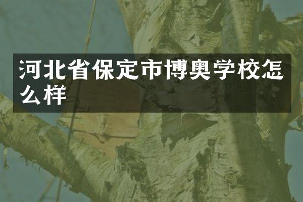 河北省保定市博奥学校怎么样
