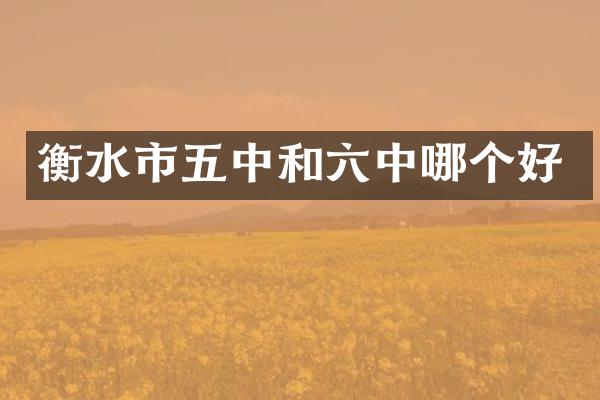 衡水市五中和六中哪个好