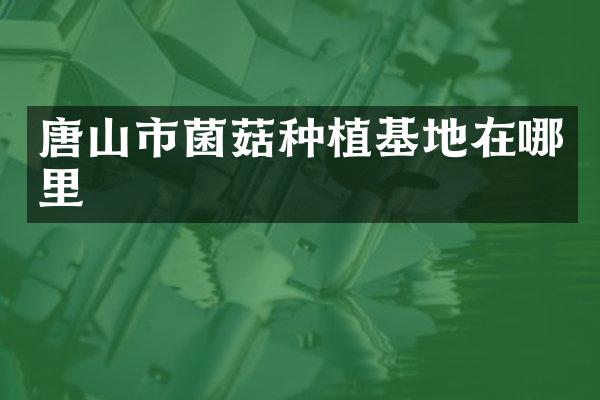 唐山市菌菇种植基地在哪里