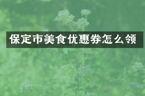 保定市美食优惠券怎么领
