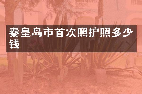 秦皇岛市首次照护照多少钱