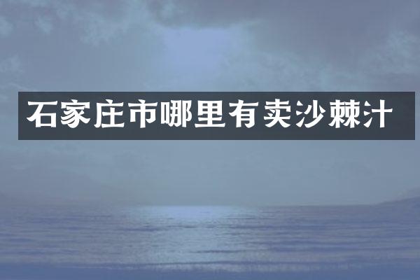 石家庄市哪里有卖沙棘汁