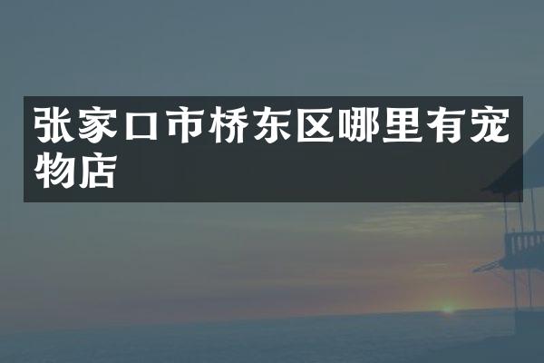 张家口市桥东区哪里有宠物店