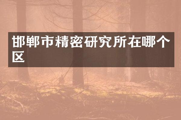 邯郸市精密研究所在哪个区