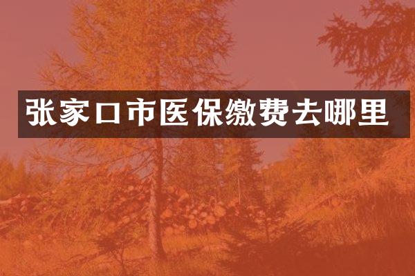 张家口市医保缴费去哪里