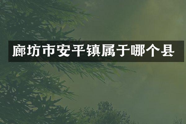 廊坊市安平镇属于哪个县