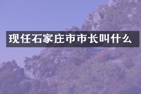 现任石家庄市市长叫什么