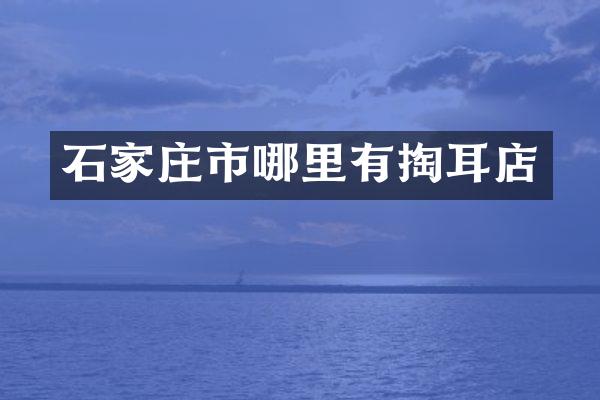 石家庄市哪里有掏耳店