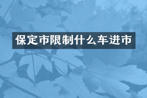 保定市限制什么车进市