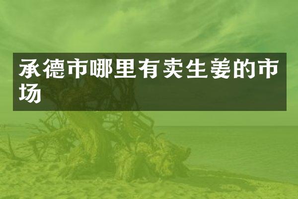 承德市哪里有卖生姜的市场