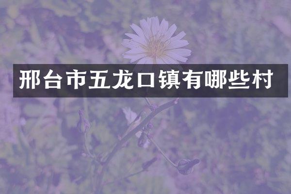 邢台市五龙口镇有哪些村
