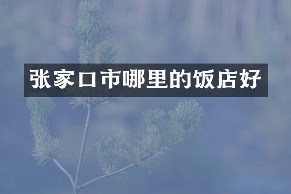 张家口市哪里的饭店好