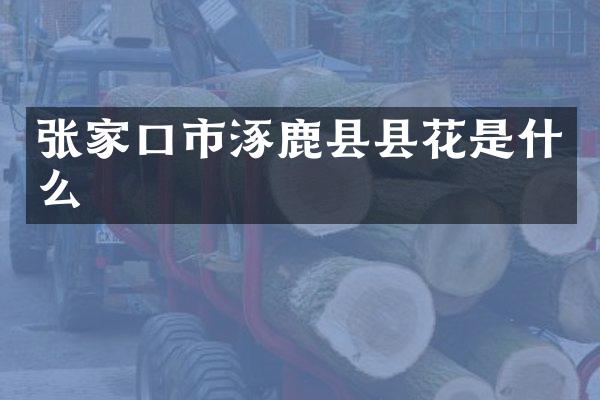 张家口市涿鹿县县花是什么