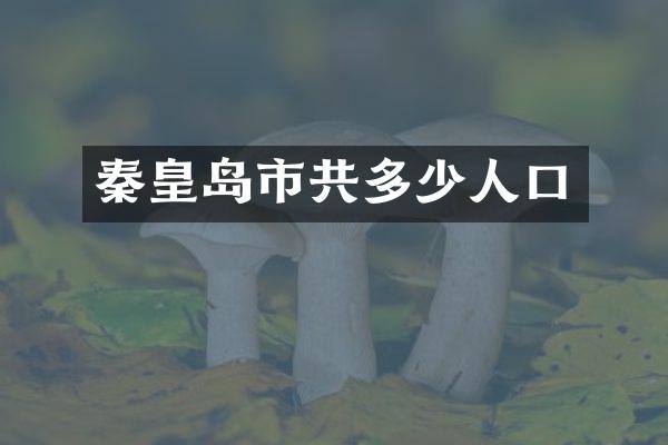 秦皇岛市共多少人口