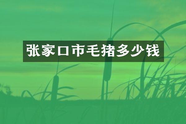 张家口市毛猪多少钱